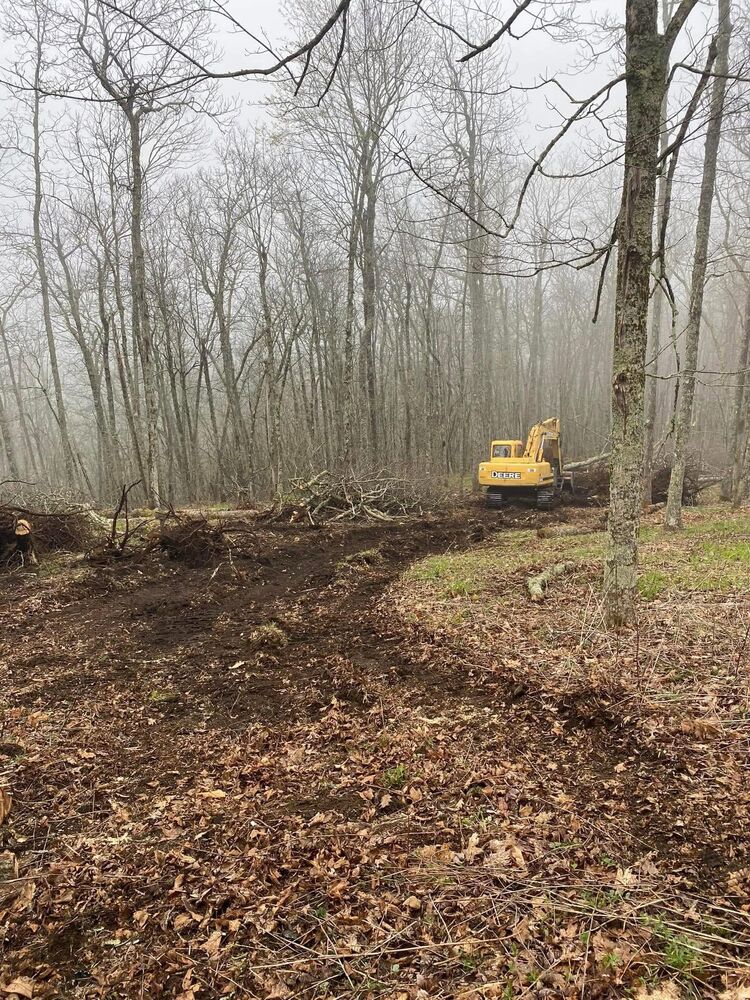 A machine clearing undergrowth among bare trees in light fog