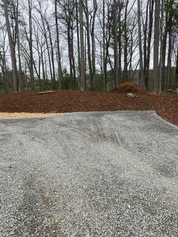 A wide fresh gravel driveway graded smooth at the edge of the woods