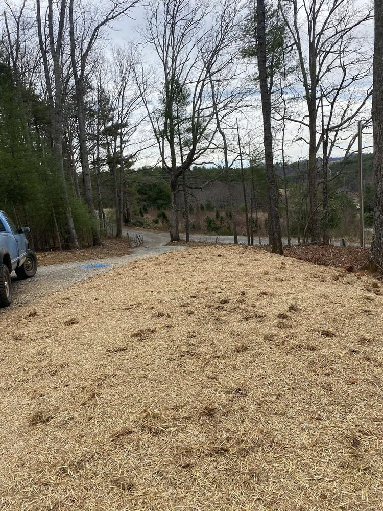 A graded and strawed yard with a new gravel driveway along the tree line