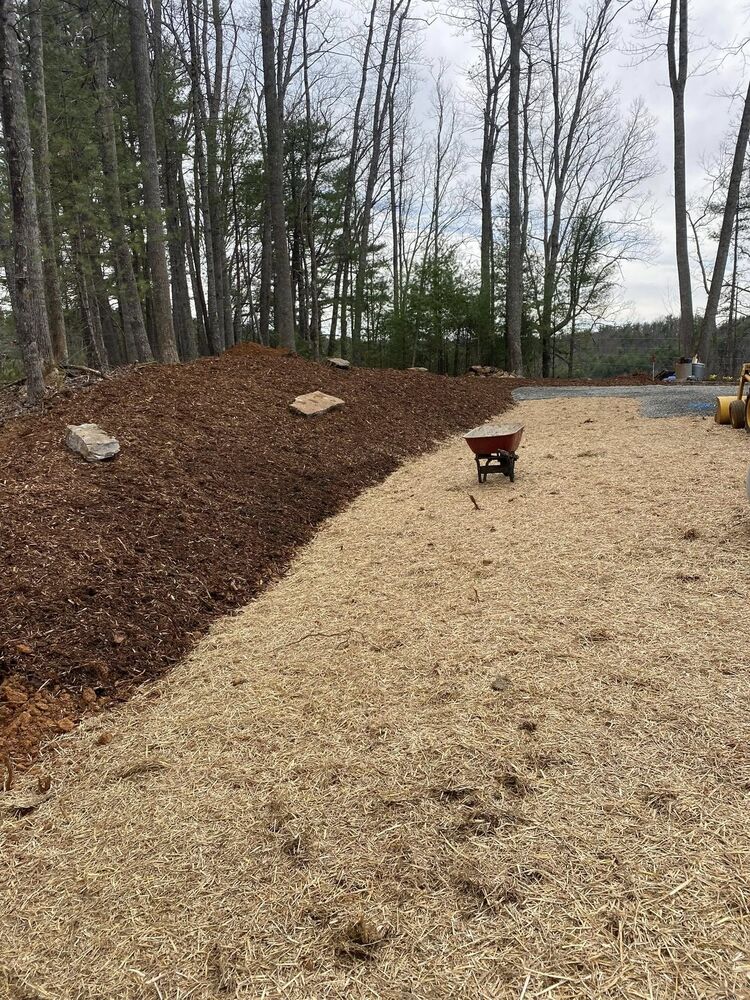 A graded and seeded yard with a clean mulched edge along the tree line